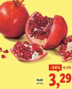 Lidl Rodii Ofertă