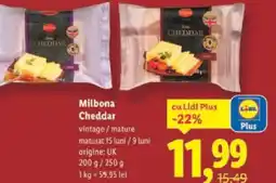 Lidl Milbona Cheddar Ofertă