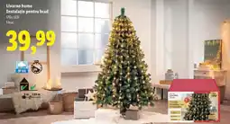 Lidl Livarno home Instalație pentru brad Ofertă