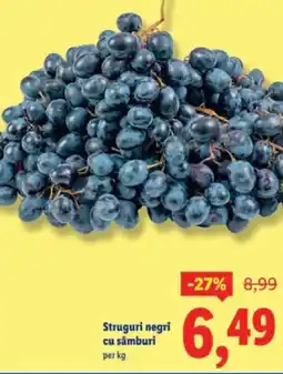 Lidl Struguri negri cu sâmburi Ofertă
