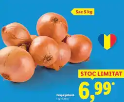 Lidl Ceapǎ galbenă Ofertă