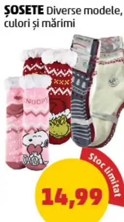 Penny Sosete Ofertă