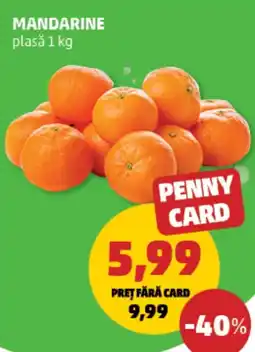 Penny Mandarine plasǎ Ofertă