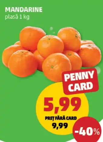 Penny Mandarine plasǎ Ofertă