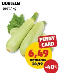 Penny Dovlecei Ofertă