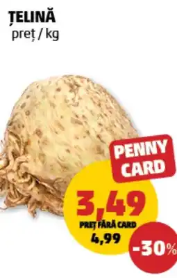 Penny Ţelină Ofertă