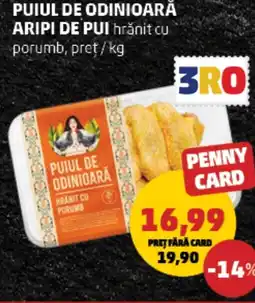 Penny Puiul de odinioară aripi de pui hrănit cu porumb Ofertă