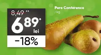PROFI Pere Conference Ofertă