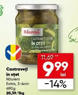 PROFI Castraveţi in oţet Râureni Extra, 3-6cm Ofertă
