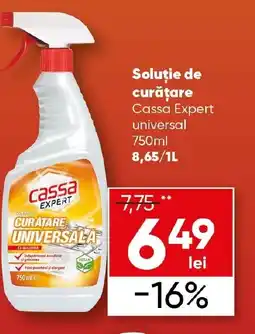 PROFI Soluţie de curăţare Cassa Expert universal Ofertă