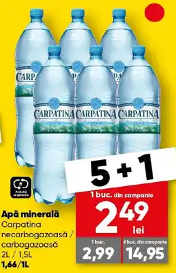 PROFI Apă minerală Carpatina necarbogazoasă carbogazoasă Ofertă
