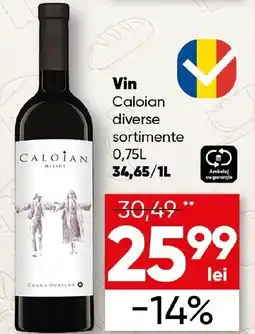 PROFI Vin Caloian Ofertă