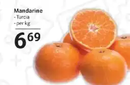 Selgros Mandarine Ofertă