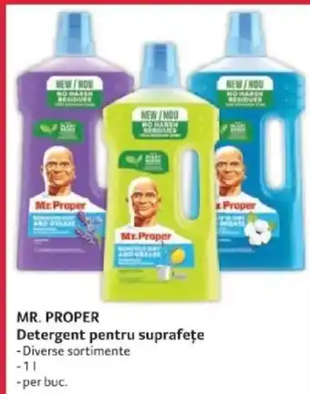 Selgros MR. PROPER Detergent pentru suprafețe Ofertă