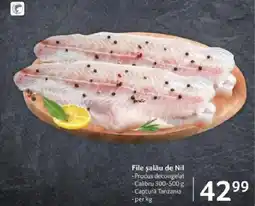 Selgros File șalău de Nil Ofertă