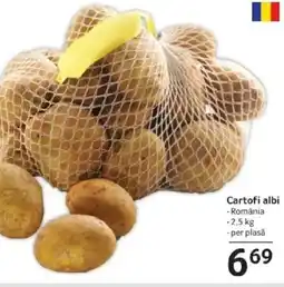 Selgros Cartofi albi Ofertă