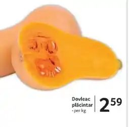 Selgros Dovleac plăcintar Ofertă