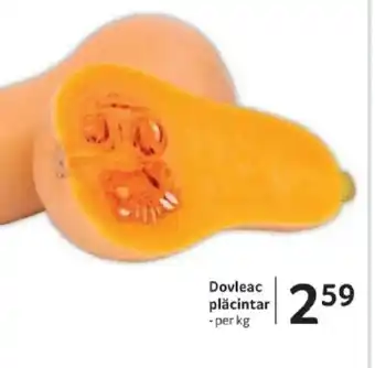 Selgros Dovleac plăcintar Ofertă