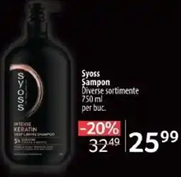 Selgros Syoss Şampon Ofertă