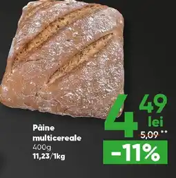 PROFI Pâine multicereale Ofertă