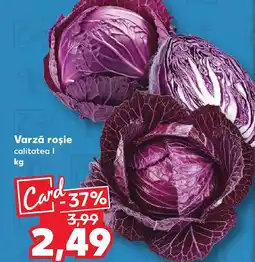 Kaufland Varză roşie Ofertă