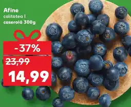 Kaufland Afine Ofertă