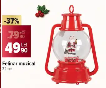 Carrefour Felinar muzical Ofertă