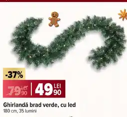 Carrefour Ghirlandǎ brad verde, cu led Ofertă
