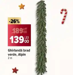 Carrefour Ghirlandǎ brad verde, Alpin Ofertă