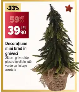 Carrefour Decoraţiune mini brad în ghiveci Ofertă