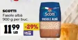 Annabella SCOTTI Fasole albä Ofertă