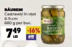 Annabella RAURENI Castraveţi in oțet 6-9 cm Ofertă