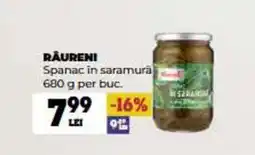 Annabella RÂURENI Spanac in saramura Ofertă