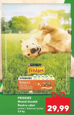 Kaufland FRISKIES Hrană uscată Pentru câini Ofertă