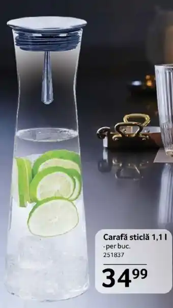 Selgros Carafǎ sticlă Ofertă