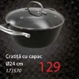 Selgros Cratiţă cu capac Ofertă