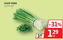 Auchan Ceapă verde Ofertă