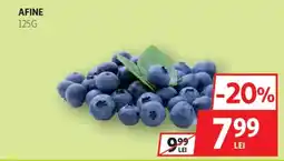 Auchan Afine Ofertă
