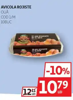 Auchan Avicola Rojiste ouă cod 1/m Ofertă
