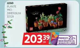 Auchan LEGO Plante mici dimensiuni 10329 Ofertă