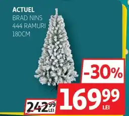 Auchan Actuel brad nins 444 ramuri Ofertă