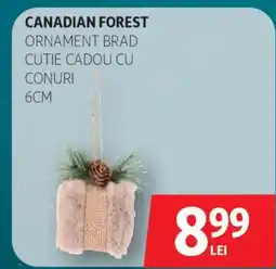 Auchan Canadian forest ornament brad cutie cadou cu conuri Ofertă