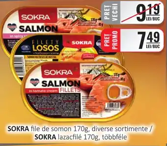 CBA SOKRA file de somon Ofertă