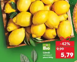 Kaufland Lămâi Ofertă