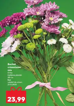 Kaufland Buchet crizanteme mix Ofertă