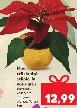 Kaufland Mini crăciuniţă sclipici în vas auriu Ofertă