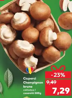Kaufland Ciuperci Champignon brune Ofertă