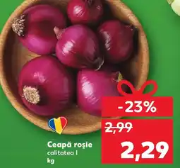 Kaufland Ceapă roşie Ofertă