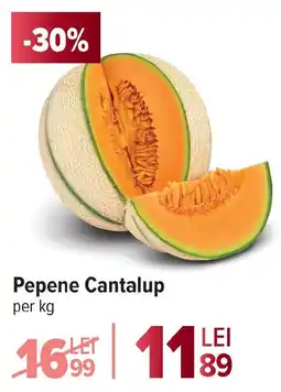 Carrefour Pepene Cantalup Ofertă