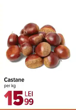 Carrefour Castane Ofertă